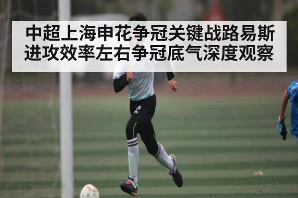 中超上海申花争冠关键战路易斯进攻效率左右争冠底气深度观察